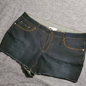 NWOT Fire & Gold Denim shorts